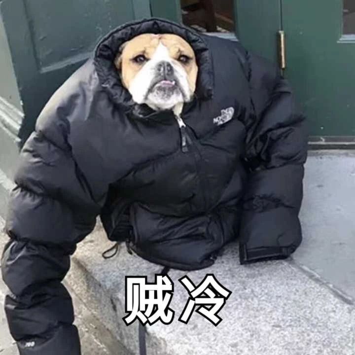 1669704748257.jpg 1669704748257.jpg