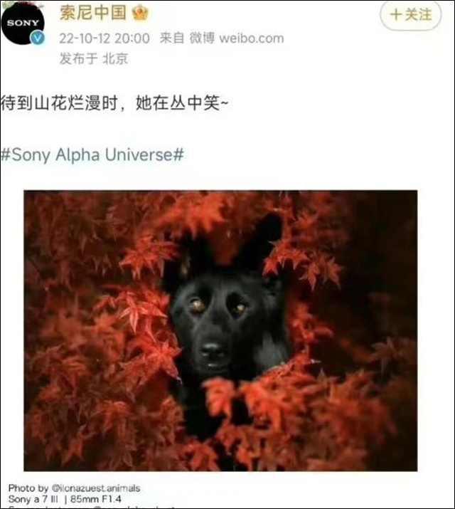 1673503017782.jpg 微信图片_20230112134829.jpg