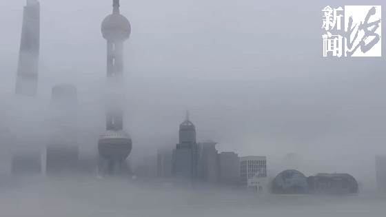 1673663281914.gif 1673663281914.gif