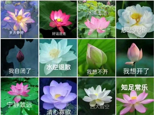 1674190386998.jpg 微信图片_20230120115912.jpg