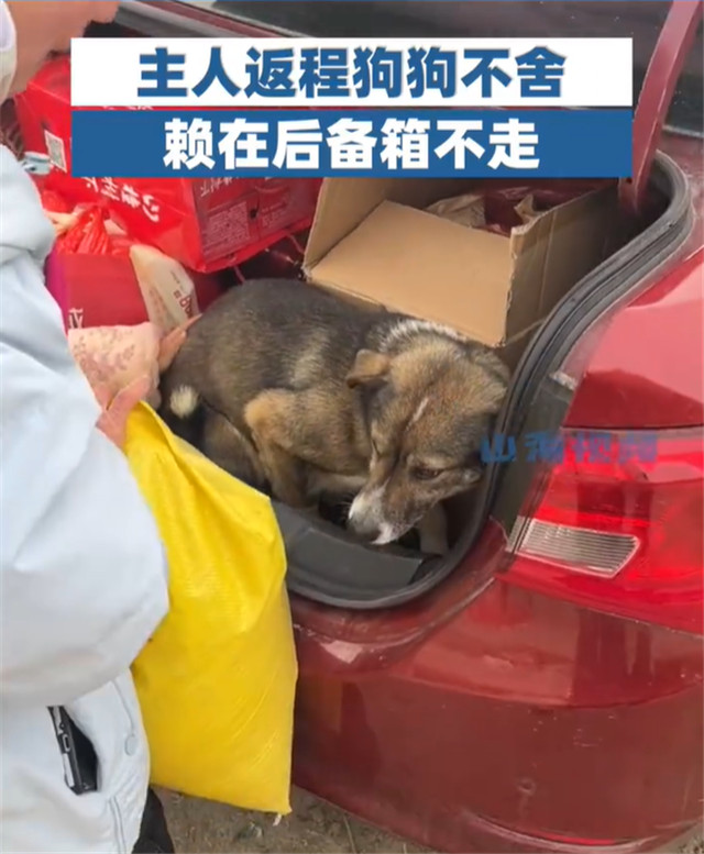 1674796424047.jpg 微信图片_20230127123637.jpg