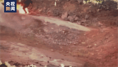 1675240494596.gif 1675240494596.gif