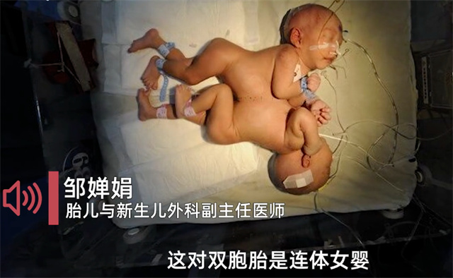 1676533591855.jpg 微信图片_20230216152412.jpg