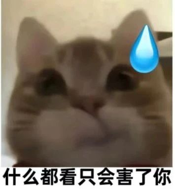 1677130160669.jpg 1677130160669.jpg
