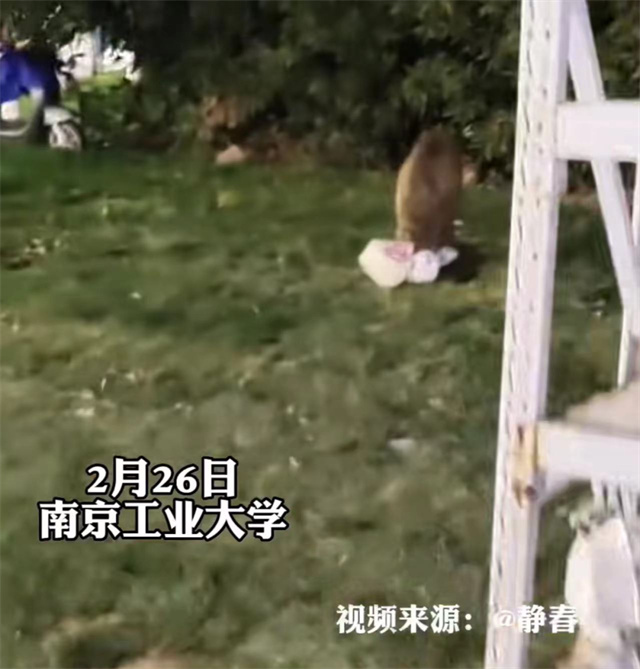 1678262033239.jpg 微信图片_20230308154625.jpg