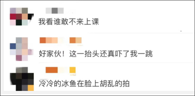 1678337669751.jpg 微信图片_20230309124732.jpg