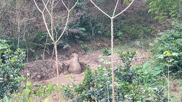 1678850128903.gif 微信图片_20230315110756.gif