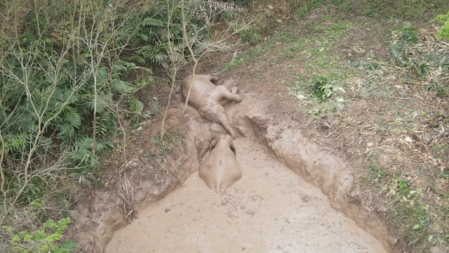 1678850232111.gif 微信图片_20230315110805.gif