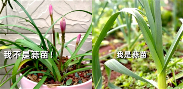1679383073901.jpg 微信图片_20230321150751.jpg