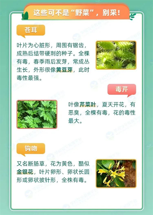 1679383118507.jpg 微信图片_20230321150754.jpg