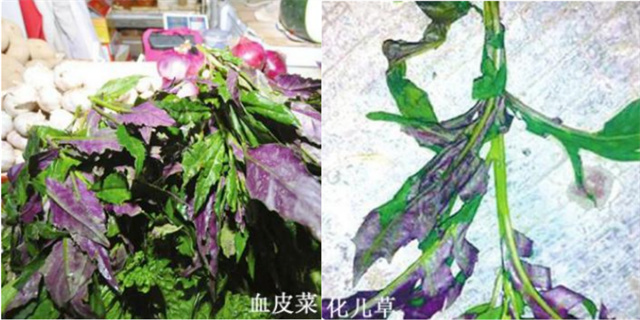 1681185337835.jpg 微信图片_20230411114619.jpg