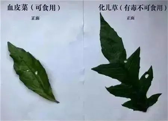 1681185342959.jpg 微信图片_20230411114622.jpg