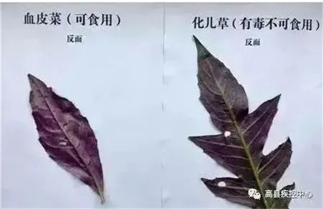 1681185347635.jpg 微信图片_20230411114625.jpg