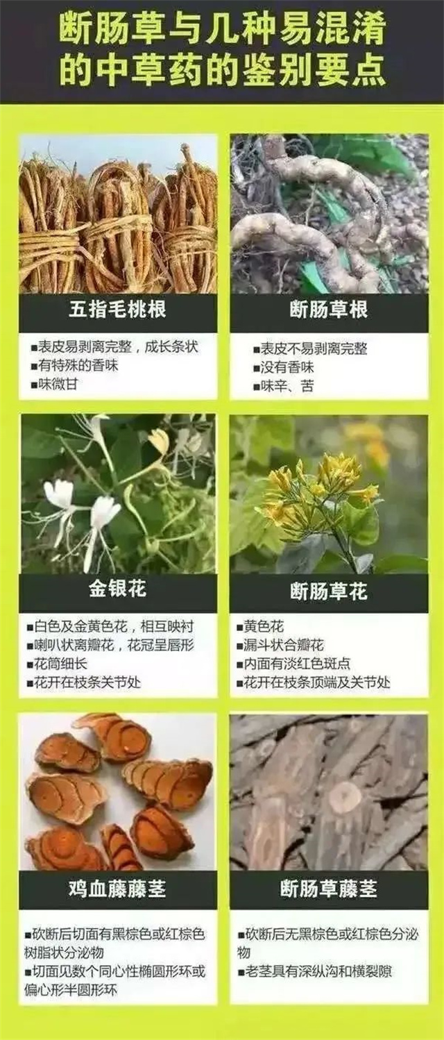 1681185431501.jpg 微信图片_20230411114631.jpg