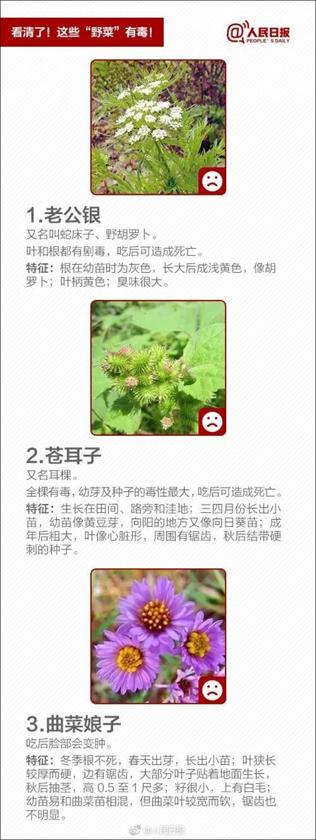 1681185505030.jpg 微信图片_20230411114636.jpg