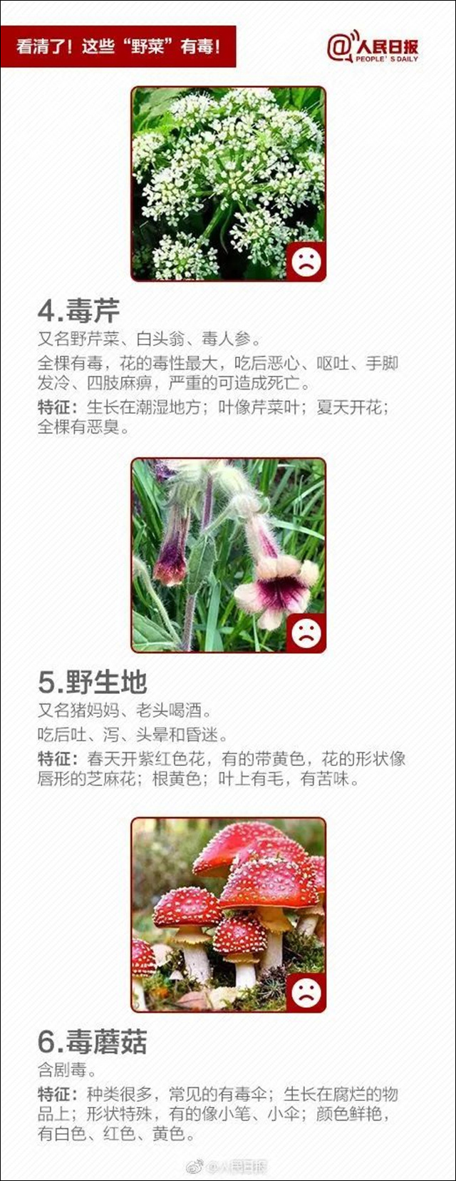 1681185537972.jpg 微信图片_20230411114639.jpg