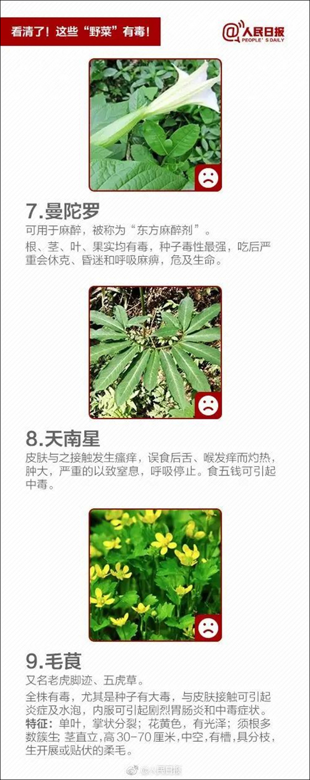 1681185542577.jpg 微信图片_20230411114645.jpg