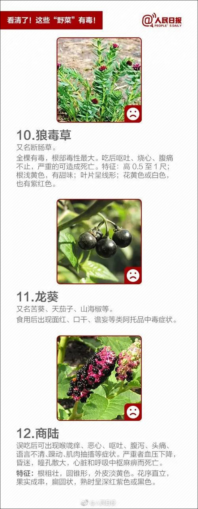 1681185546848.jpg 微信图片_20230411114648.jpg