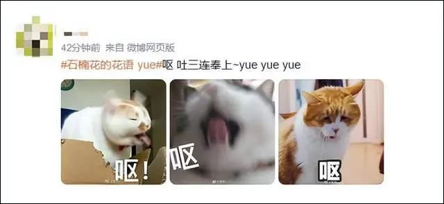 1681543148485.jpg 微信图片_20230415151303.jpg