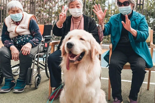 1682064480752.jpg 微信图片_20230421155355.jpg