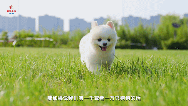 1682064731076.gif 微信图片_20230421155434.gif