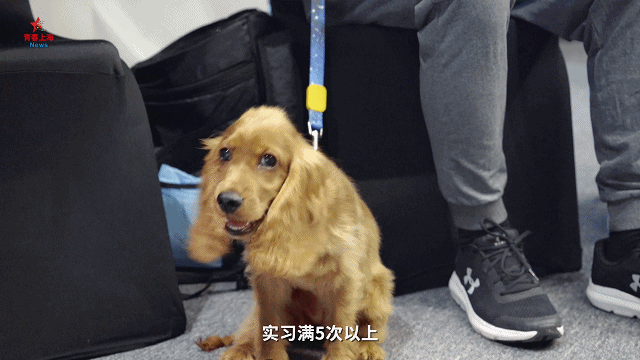 1682064805461.gif 微信图片_20230421155439.gif