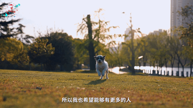 1682064816948.gif 微信图片_20230421155443.gif