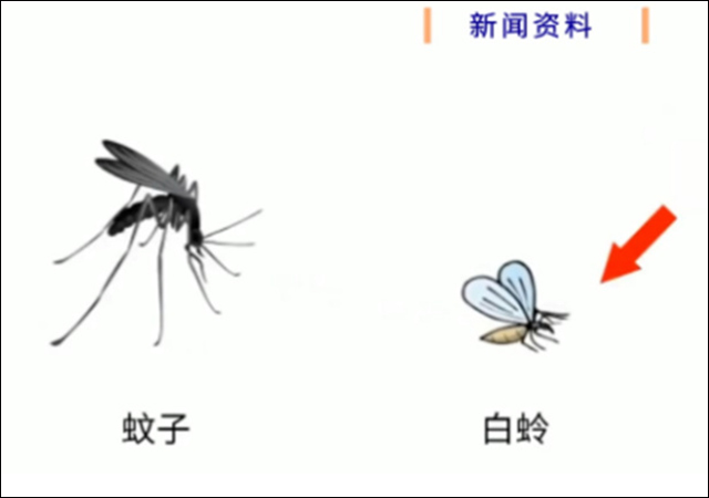 1682576120749.jpg 微信图片_20230427140410.jpg