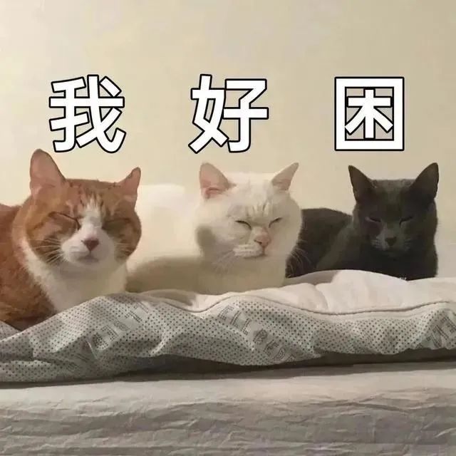 1682577046002.jpg 1682577046002.jpg