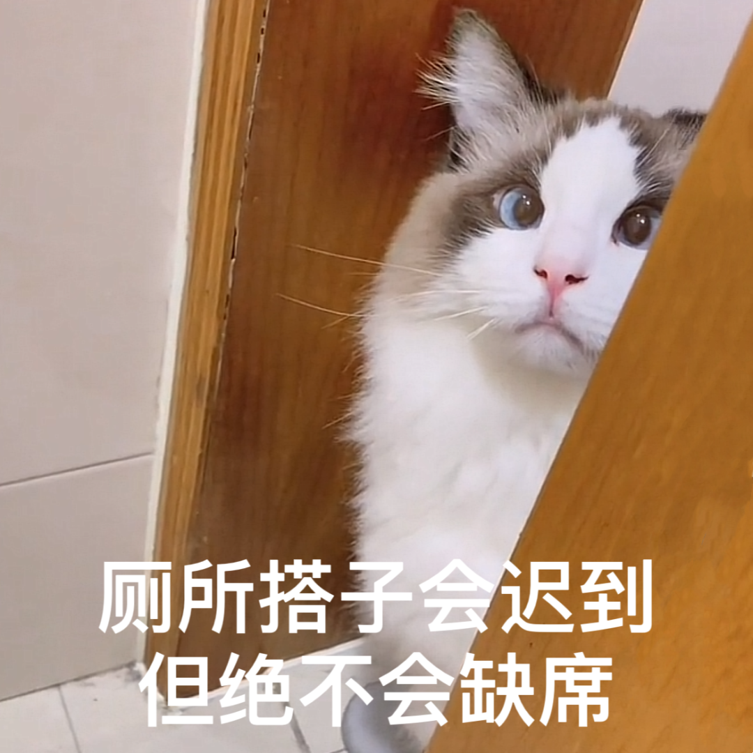 1683087574226.png