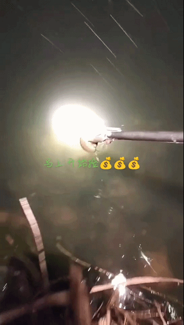 1683088333402.gif 1683088333402.gif