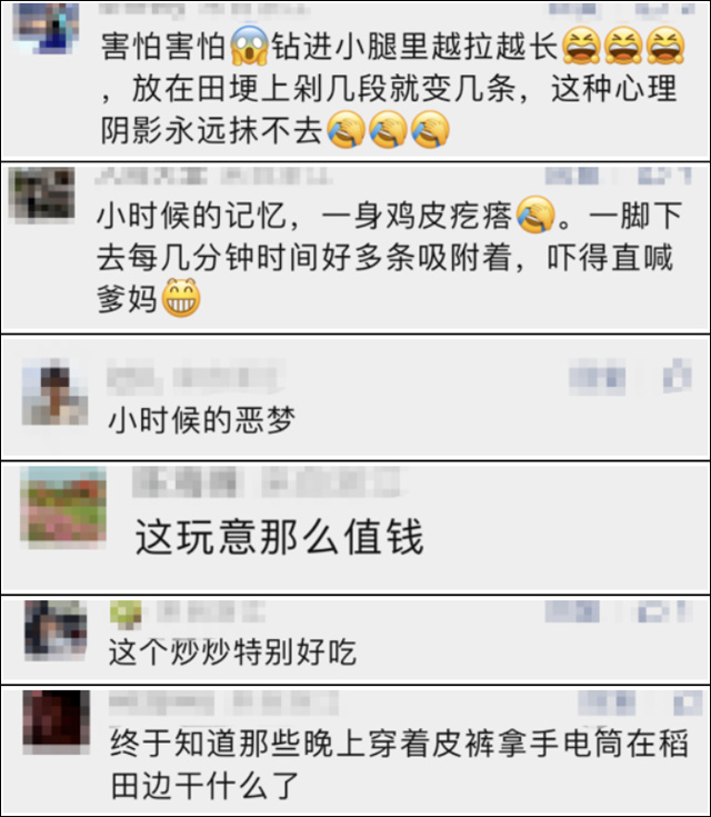 1683088533426.jpg 微信图片_20230503122914.jpg