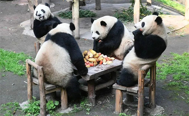 1683093533800.jpg 微信图片_20230503135156.jpg