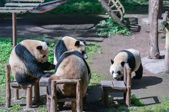 1683093545822.jpg 微信图片_20230503135200.jpg