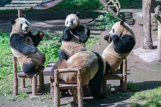 1683093550851.jpg 微信图片_20230503135203.jpg