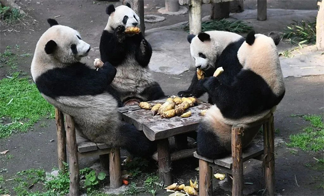 1683093581101.jpg 微信图片_20230503135207.jpg