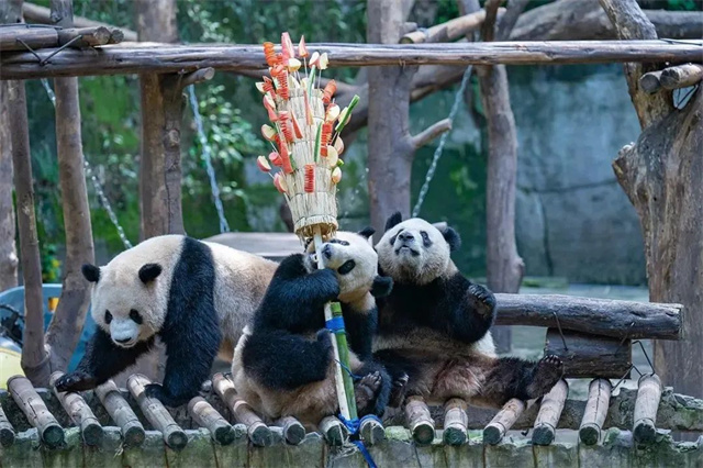 1683093590589.jpg 微信图片_20230503135210.jpg