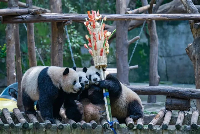 1683093596311.jpg 微信图片_20230503135215.jpg