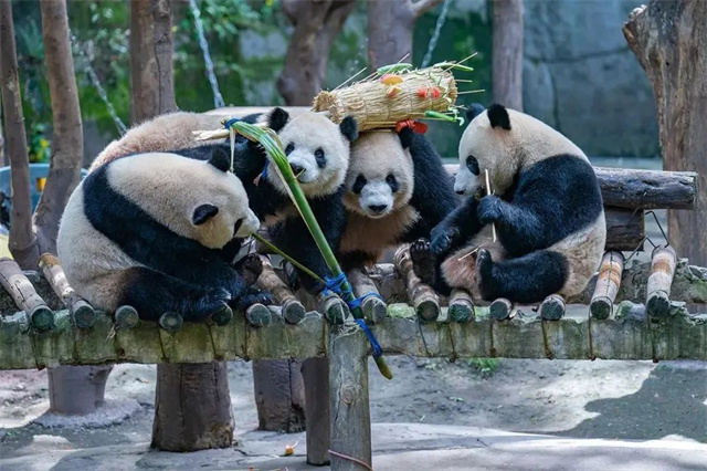 1683093601925.jpg 微信图片_20230503135219.jpg
