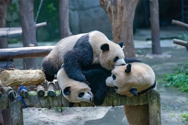 1683093607098.jpg 微信图片_20230503135223.jpg