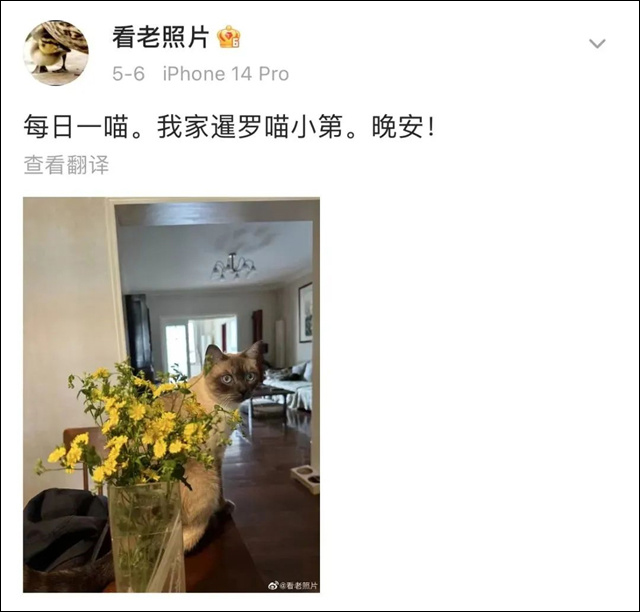 1684218914102.jpg 微信图片_20230516142507.jpg