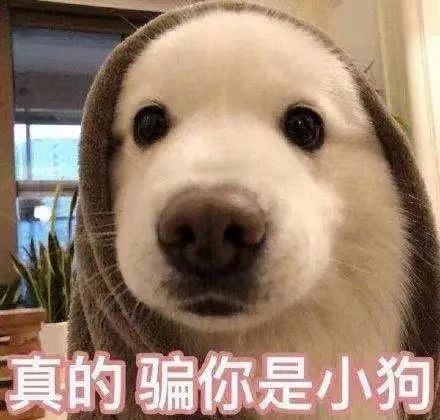 1685083642508.jpg 1685083642508.jpg