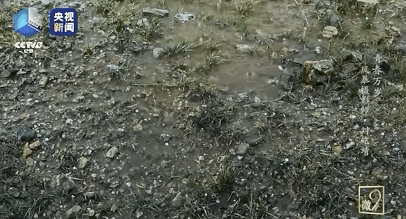 1685167990750.gif 1685167990750.gif