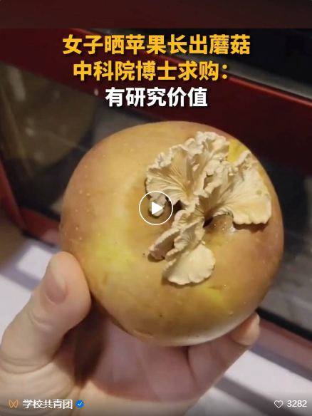 微信图片_20240717134949.png 微信图片_20240717134949.png