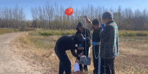 微信图片_20231103113536.gif