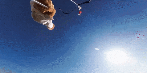 微信图片_20231103113542.gif