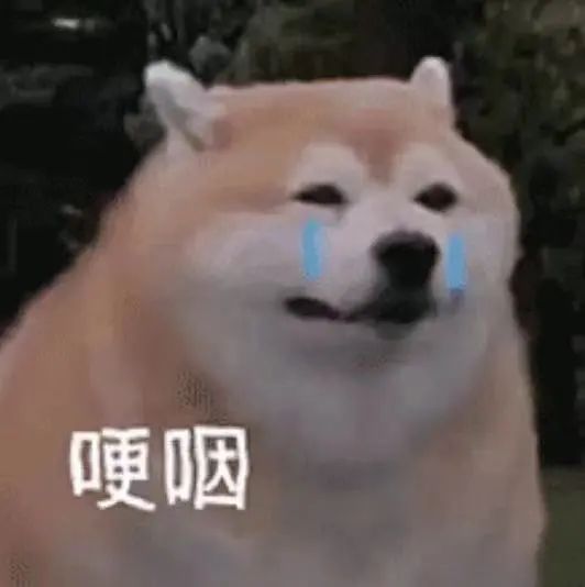 微信图片_20230602152206.jpg