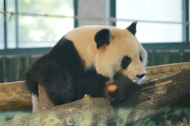 微信图片_20240816134818.jpg 微信图片_20240816134818.jpg