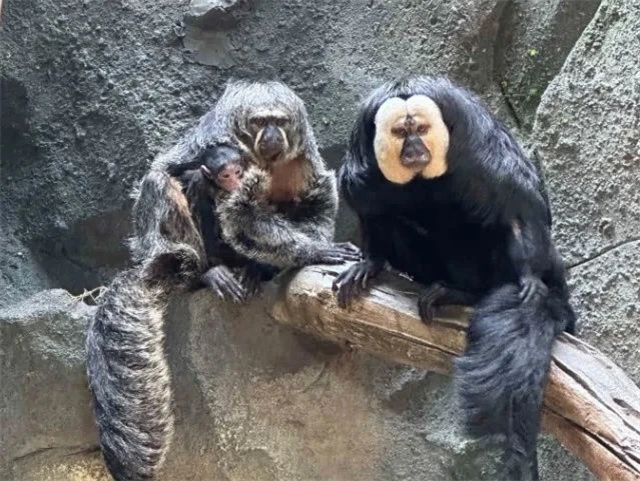 微信图片_20240816134837.jpg 微信图片_20240816134837.jpg