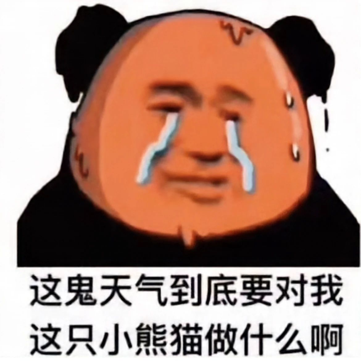 微信图片_20240820114000.jpg 微信图片_20240820114000.jpg